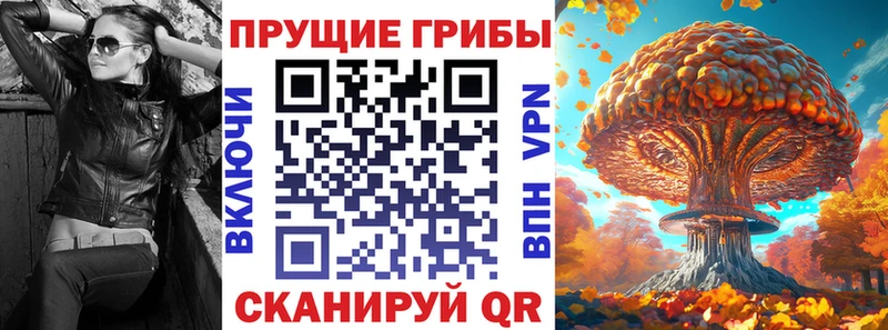 Галлюциногенные грибы прущие грибы  Щучье 